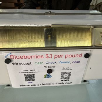 Blueberry Blossom Farm - they accept cash, zelle and venmo - Pick Your Own Farms Near Me - Snohomish, Washington