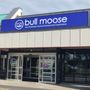 Photo of Bull Moose