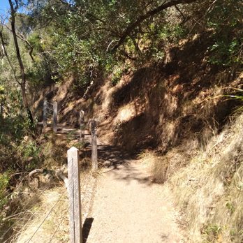 Cleland Conservation Park - Path - Parks Near Me - Mount Lofty, SA