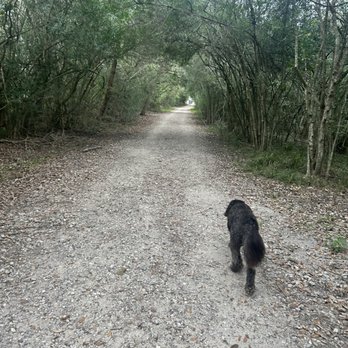 Challenger 7 Memorial Park - Hiking Near Me - Webster, Texas