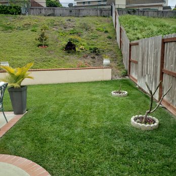 Ortega's Lawn Care - a view of a backyard - Tree Services Near Me - Oceanside, California Ortega's Lawn Care - a view of a backyard - Tree Services Near Me - Oceanside, California