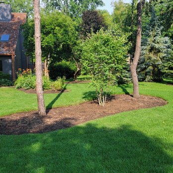 M & R Landscaping - Serviceberry - Gardeners Near Me M & R Landscaping - Serviceberry - Gardeners Near Me