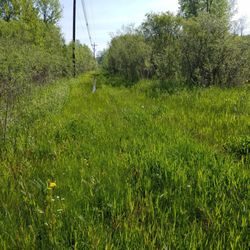Hagerstown Nature Preserve - Trail (about a mile in length) leading into the preserve.  Take boots!