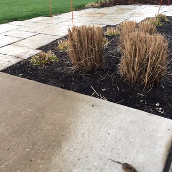D.O.A Pest Control - 5 days after Brian serviced our yard for Voles, (outdoor burrowing field mice), we already had a dead Vole on our driveway. Awesome job! - Pest Control Near Me - Yorkville, Illinois D.O.A Pest Control - 5 days after Brian serviced our yard for Voles, (outdoor burrowing field mice), we already had a dead Vole on our driveway. Awesome job! - Pest Control Near Me - Yorkville, Illinois