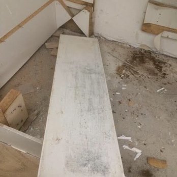 Syntech Environmental - Another location w more mold - Environmental Testing Near Me - phoenix, Arizona Syntech Environmental - Another location w more mold - Environmental Testing Near Me - phoenix, Arizona