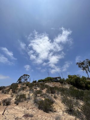 Tecolote Canyon Natural Park and Nature Center by null