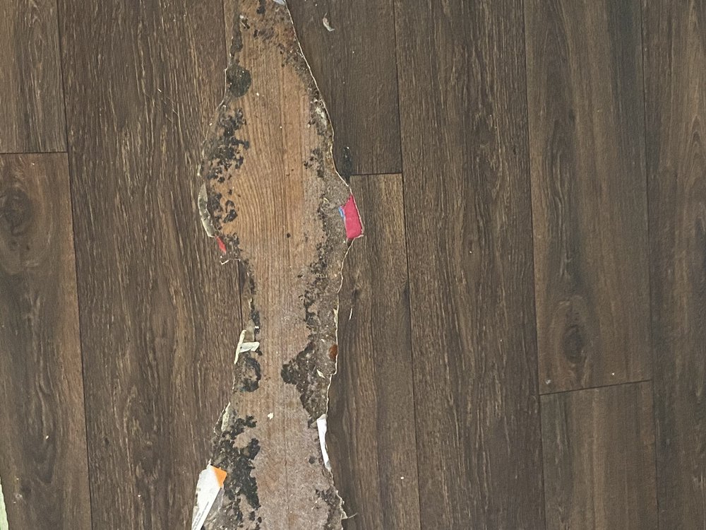 CASA MIRAGE APARTMENTS Updated August 2024 12235 W Thunderbird Rd