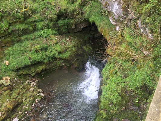 National Showcaves Centre for Wales by null