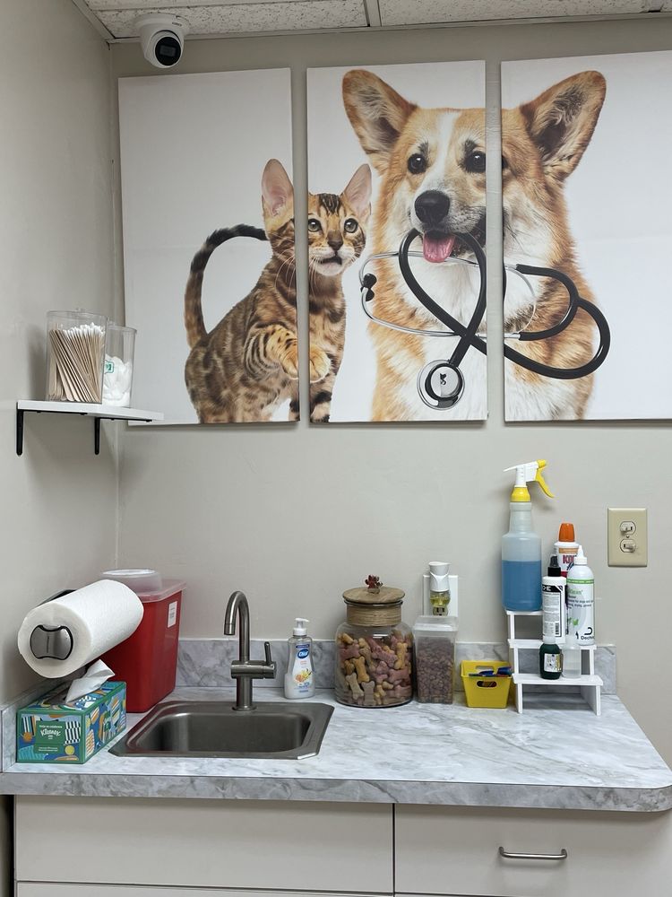 Animal Clinic of Wekiva Image
