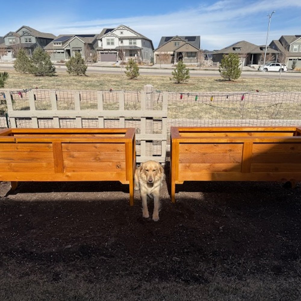Backyard Boxes - BEAUTIFUL BACKYARD BOXES! - Carpenters Near Me - Denver, Colorado