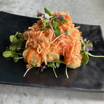 Cool Fish LKN - Loaded Spring Rolls - Sushi Bars Near Me - Cornelius, North Carolina
