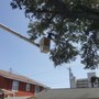Photo of A-Timber Tree Service