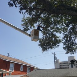 A-Timber Tree Service - trimming limbs back from over house and roof area