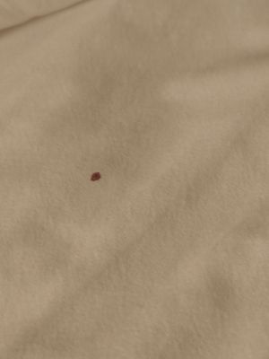 HotelTonight by null