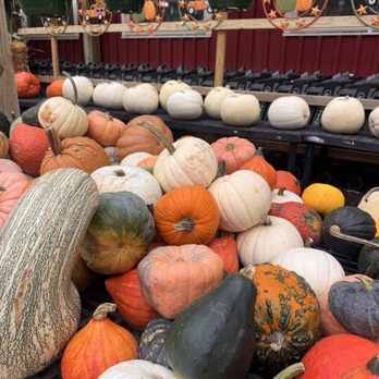 Calareso's Farm Stand - Fruits & Veggies Near Me - Reading, Massachusetts Calareso's Farm Stand - Fruits & Veggies Near Me - Reading, Massachusetts