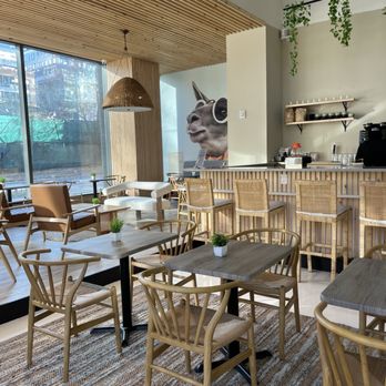 Llamabar - Cafes Near Me - Washington, DC, District of Columbia