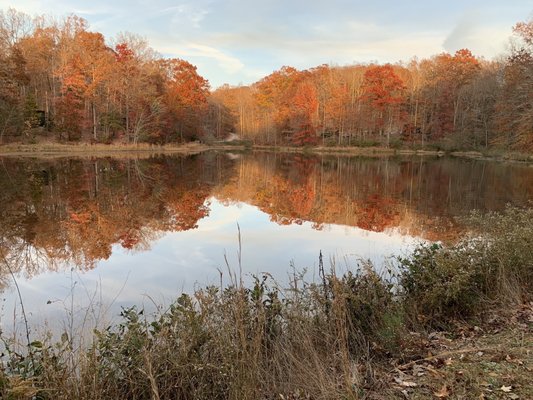 Postcard Cabins Asheboro, Outdoor Collection by Marriott Bonvoy by null