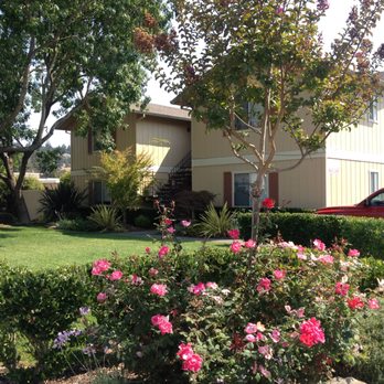Syrus Properties, Inc - Lark Center (3) - Property Management Near Me - Novato, California Syrus Properties, Inc - Lark Center (3) - Property Management Near Me - Novato, California