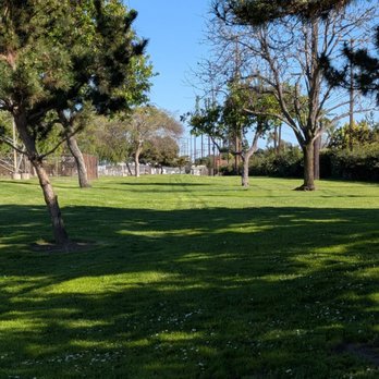 Candleverde Park - Open area of the park. Looks like a vehicle drove through it - Dog Parks Near Me - Lakewood, California Candleverde Park - Open area of the park. Looks like a vehicle drove through it - Dog Parks Near Me - Lakewood, California
