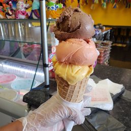Homemade Ice Cream