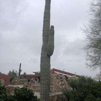 Frank Lloyd Wright Foundation - Landmarks & Historical Buildings Near Me - Scottsdale, Arizona