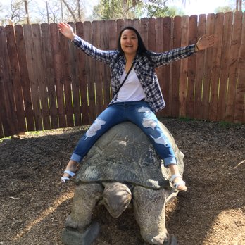 Micke Grove Zoo - Turtle statue for size comparison - Zoos Near Me - Lodi, California Micke Grove Zoo - Turtle statue for size comparison - Zoos Near Me - Lodi, California