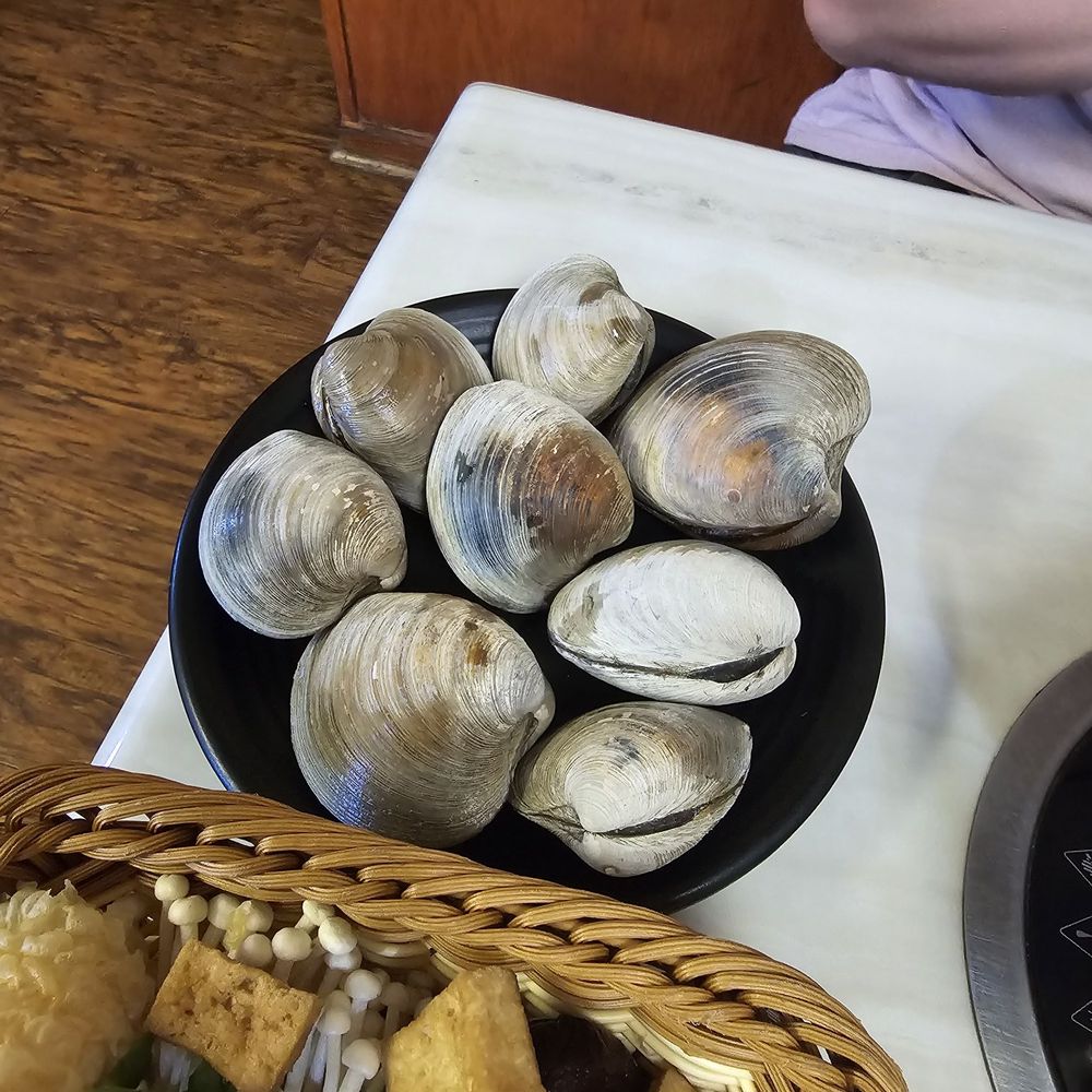 Yummy Hot Pot - giant clams - Hot Pot Near Me - Denver, Colorado Yummy Hot Pot - giant clams - Hot Pot Near Me - Denver, Colorado