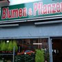 Photo of Blumen & Pflanzen