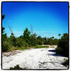 Seabranch Preserve State Park - Sandy trail