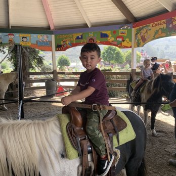 Lemos Farm - My son loved the pony ride. - Amusement Parks Near Me - Half Moon Bay, California