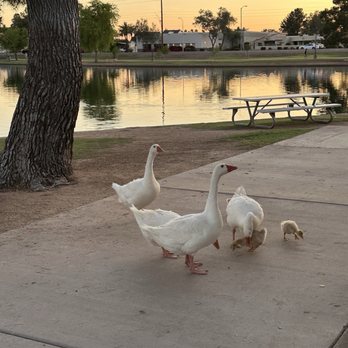 Chaparral Park - Parks Near Me - Scottsdale, Arizona Chaparral Park - Parks Near Me - Scottsdale, Arizona