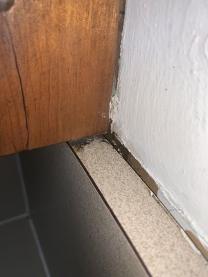 Pointe Property Management