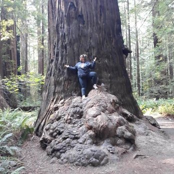 Burlington Campground - Campgrounds Near Me - Weott, California