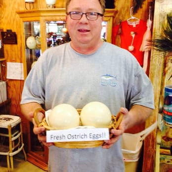Ostrichland USA - Super eggs! - Attraction Farms Near Me - Solvang, California Ostrichland USA - Super eggs! - Attraction Farms Near Me - Solvang, California