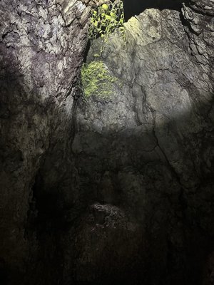 Hana Lava Tube by null
