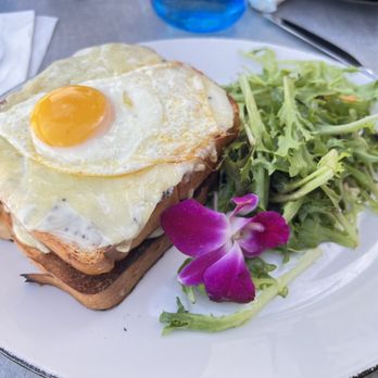 Treehouse - WPB CROQUE MADAME - Cocktail Bars Near Me - West Palm Beach, Florida Treehouse - WPB CROQUE MADAME - Cocktail Bars Near Me - West Palm Beach, Florida