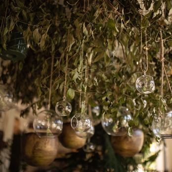 Flora & Forage - Florists Near Me - Asheville, North Carolina Flora & Forage - Florists Near Me - Asheville, North Carolina