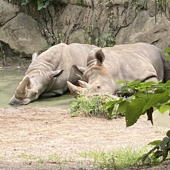 Indianapolis Zoo - Zoos Near Me - Indianapolis, Indiana Indianapolis Zoo - Zoos Near Me - Indianapolis, Indiana
