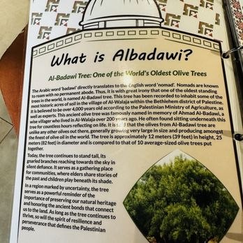 Al Badawi - Middle Eastern Near Me - Somerville, New Jersey