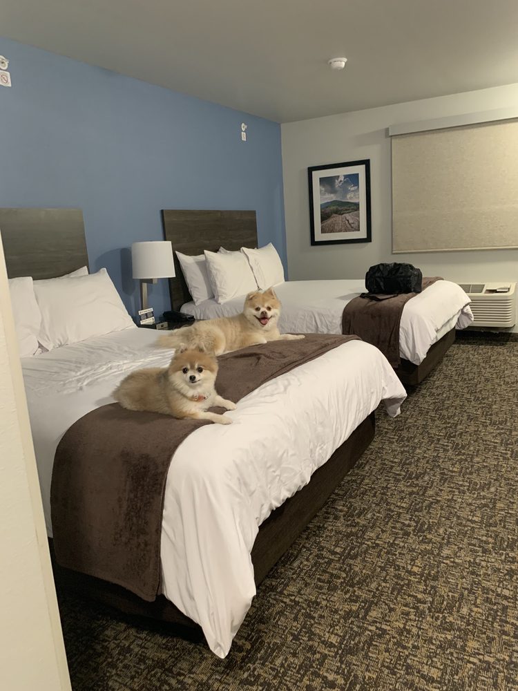 MY PLACE HOTELHUNTERSVILLE, NC Updated July 2024 14725 Statesville