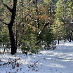 Upper Pines Campground at Yosemite National Park
