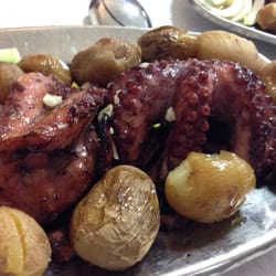 Cortiço - Octopusje