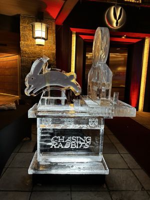 The Rabbit Hole at Chasing Rabbits by null