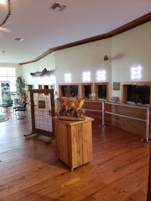 Pascagoula River Audubon Center by null