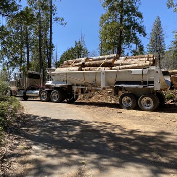 Sawyer Tree Management - Hauling off rotten logs - Tree Services Near Me - Sonora, California Sawyer Tree Management - Hauling off rotten logs - Tree Services Near Me - Sonora, California