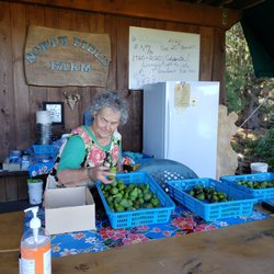 Clara's Canning - Our sources are as local as can be, Miss Geraldine and her figs we love so much.