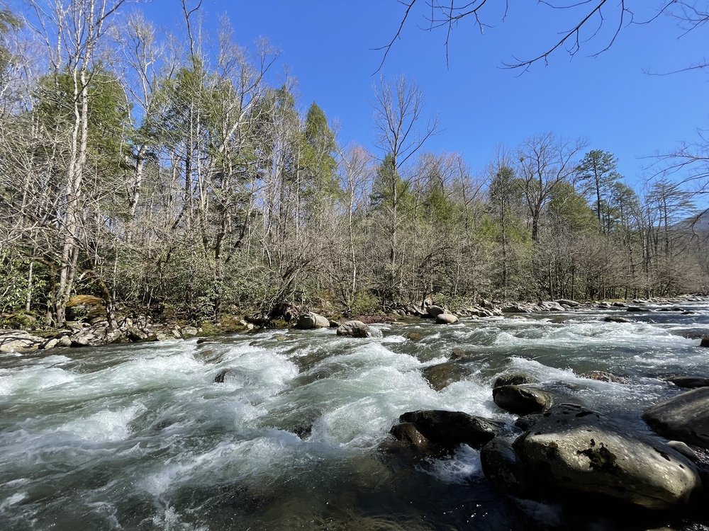 GREENBRIER GROCERY 15 Photos 2406 East Pkwy, Gatlinburg, TN Yelp