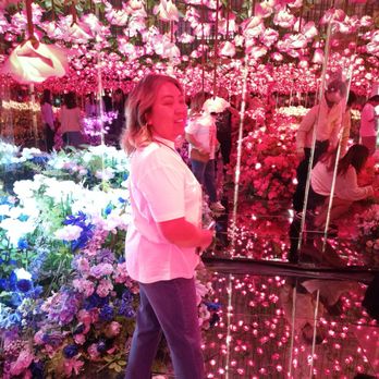 Imaginarium 360 - Festivals Near Me - Milpitas, California Imaginarium 360 - Festivals Near Me - Milpitas, California