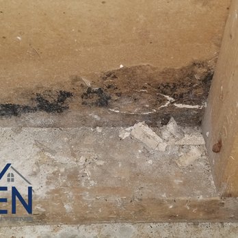 Haven Property Solutions - Damp basements lead to Mold issues. - Air Duct Cleaning Near Me - Wurtsboro, New York Haven Property Solutions - Damp basements lead to Mold issues. - Air Duct Cleaning Near Me - Wurtsboro, New York