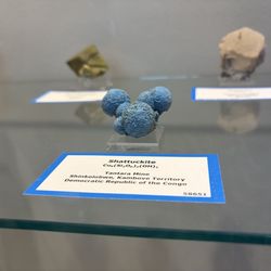 Looks like Mickey Mouse!
